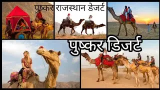 Pushkar desert affair|Pushkar| Ajmer Thar registan desert 🏜️