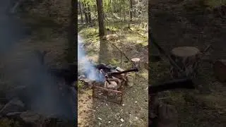Bushcraft camp off the grid #shorts #bushcraft  #offgrid #camp