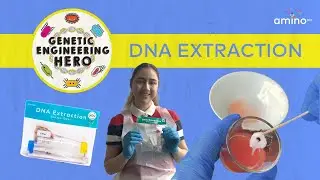 Zero to Genetic Engineering Hero: DNA Extraction