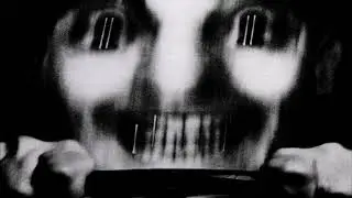 MDS - I'm Confused (Life4Land)