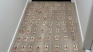 Я установил 100 ловушек у двери спальни моего дяди🧀
