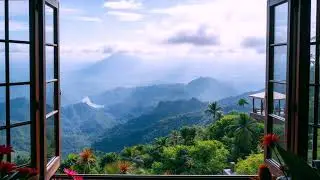 Morning Air Window Ambience &bull; Nature Sounds & Gentle Birds for Calm, Focus & Relaxation