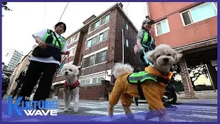 [Features reporter] More patrol dogs across S. Korea, promoting positive pet culture