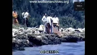 Discovery of Johnny Roselli remains
