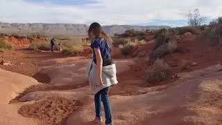 Dinosaur Tracks in Warner Valley Southern Utah