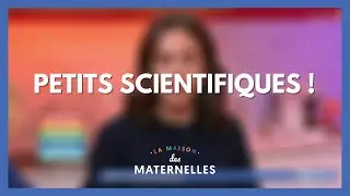 Petits scientifiques ! - La Maison des maternelles #LMDM
