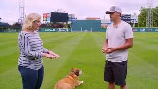 Behind the Scenes at Tacoma Rainiers Cheney Stadium | Washington Grown