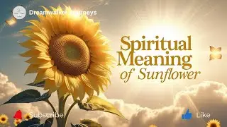Spiritual Meaning of Sunflower | Joy, Loyalty & Divine Light Explained