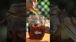 The process of making pine cone fragrance丨AmazingNotes