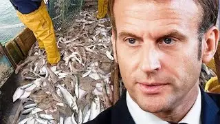 Post Brexit BUREAUCRATlC chaos leaves tons of British fish R0TTlNG in French ports