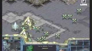 Pimpest Plays 2005 - Boxer's Minetrap: Boxer  vs Anytime