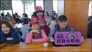 2026/01/10-11 開心GO 阿里山迷糊步道 泰國映像村之旅。