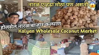 मुंबईचे सगळ्यात स्वस्त होलसेल नारळ बाजार कल्याण ! Kalyan Wholesale Coconut Market Biggest & cheapest