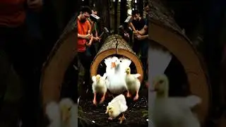 Animal Rescue From Trunk 🪾 #trunk #animals #wildliferescue #rescue