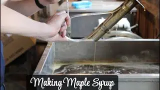 Turning Sap into Liquid Gold!
