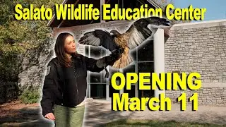 Salato Wildlife Education Center - Spring Opening