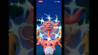NEW ✨SHINY✨ Dhelmise in Pokemon go!! #shorts #pokemon