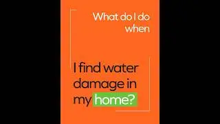 What do I do when I find water damage in my home?
