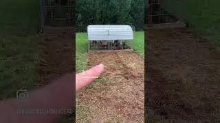 Как выглядит регенеративное сельское хозяйство.