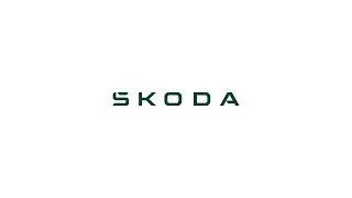 &Scaron;KODA Service Explained &ndash; Air Conditioning Service