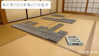 [年末動画]我が家の313系今年増えた分を紹介する2025年末版