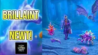 New Brilliant Event Registry Foundables! Brilliant Event Feedback! | Harry Potter Wizards Unite