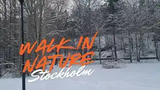 Winter in Stockholm - Walk in Nature