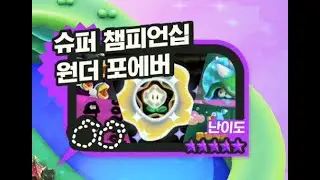 슈퍼마리오 원더 플레이 슈퍼 챔피언십 원더 포에버