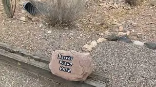 Monticello Campground: Elephant Butte Lake State Park, New Mexico.
