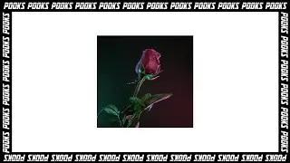 [FREE] ABRA Type Beat 