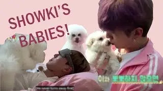 SHOWKI AND THEIR KIDS | ADORABLE