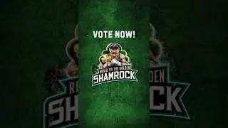 The time has come! Vote your favourites into the final! #celticpunk #irishfolk #irishfolkpunk