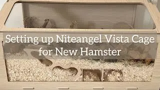 Ep.1 Niteangel Vista Cage - Setting Up an Enclosure for New Hamster