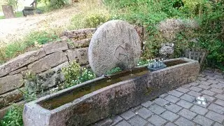 20220728 Schnapsbrunnenweg bei Sasbachwalden