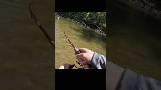 I hooked into something GIANT 😳😳😳