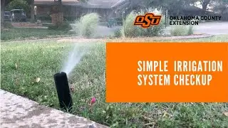 Simple Home Irrigation System Checkup to Prevent Water Waste