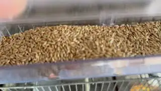 Mi aviario aun no esta preparado