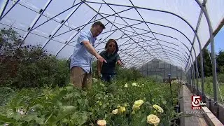 Head south to Rhode Island for no-till farming at Petals Farm