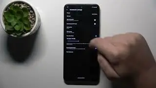 YT Music: How to Manage Storage and Downloads?