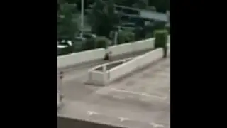 Cellphone Video Shows Munich Gunman on Roof