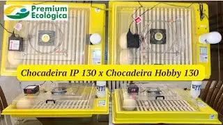 Chocadeira IP 130 x Chocadeira Hobby 130 da Premium Ecológica | Criatório Junior Cardoso