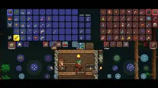 Terraria test on my phone
