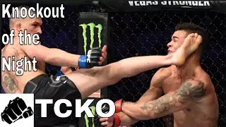 UFC Fight Night 138: Don Madge Brutal Knockout Recap