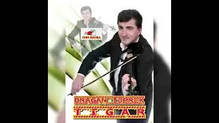 Dragan Toprek -Tigar 2024 !