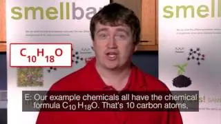 DIY Smell Bar: Chemical Arrangement