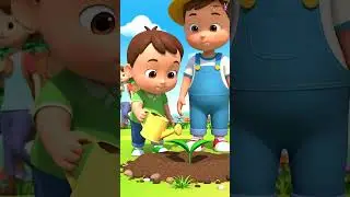 Семечко превращается в растение | Красочное детское видео 🌈🌼