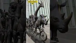 #dasepalli #travel #2023 #nycvlog #4k #videooftheday #music #nyc #animals #statue #thingstodo #love