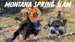 4K | TWO KILL SHOTS | Montana Spring Bear and Turkey Hunt 2024