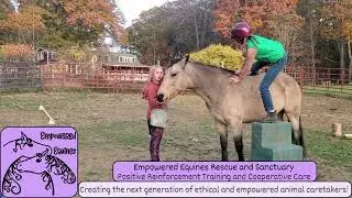 Mustang's First Rider with Positive Reinforcement