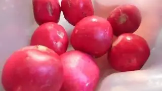 How To Juice Radishes Recipe